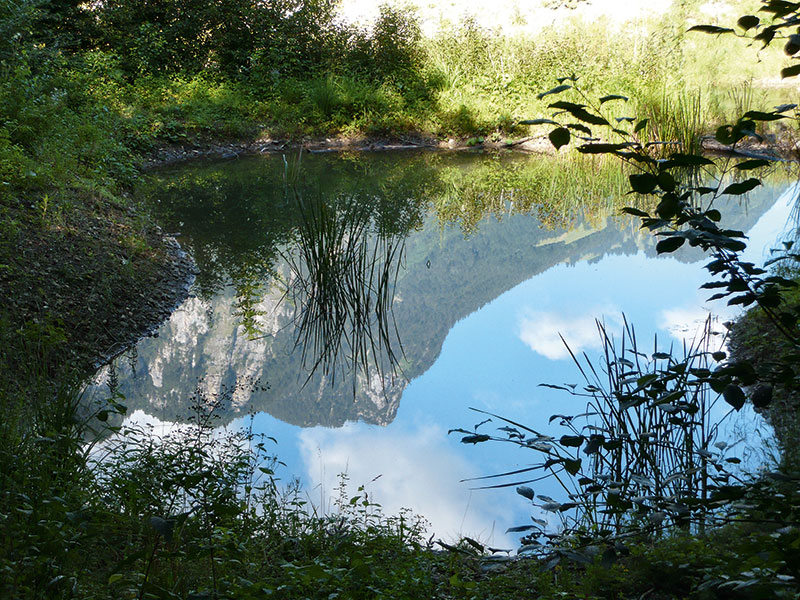 Kundertriet-Amphibientuempel