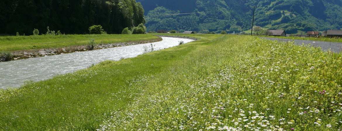 linthwerk_header7.jpg