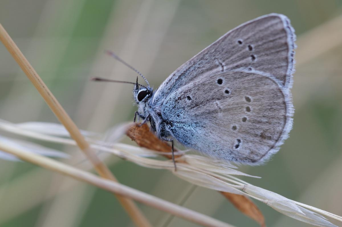 img 2581 1280 900 100 c